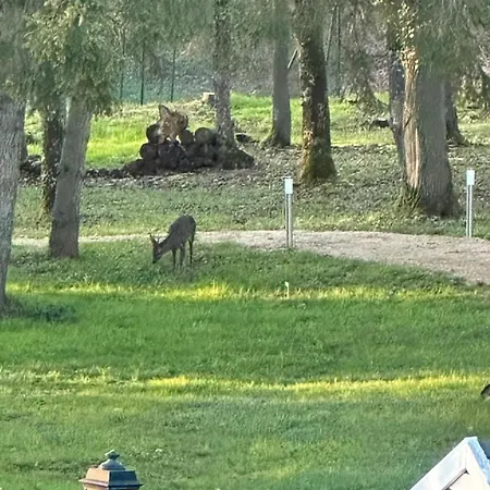 Le Clos Du Renard Sermaise  Buitenkant foto